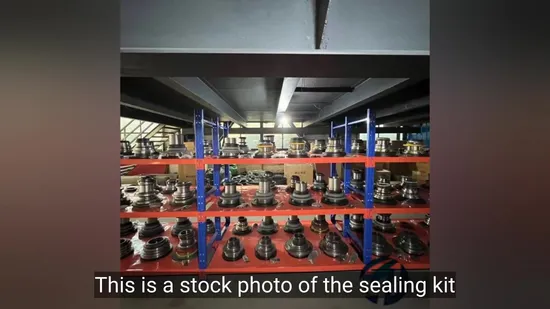 High Performance Shaft Head Seal with Abrasion Resistant Alloy for Concrete Mixers